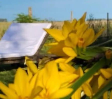 La Narcisa Villa Pehuajo Ngoại thất bức ảnh