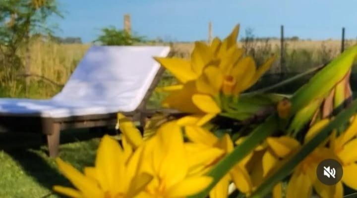 La Narcisa Villa Pehuajo Ngoại thất bức ảnh
